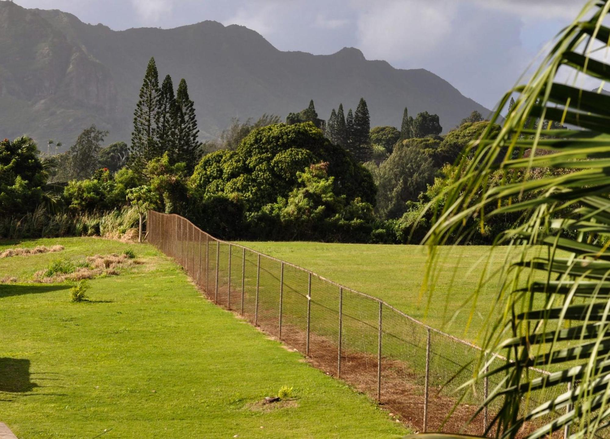 Kauai Palms Hotel Lihue Pokoj fotografie